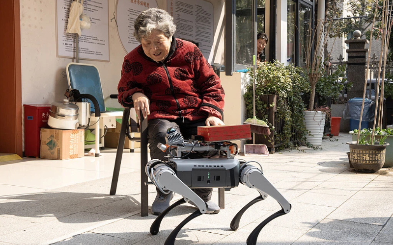 Zhejiang residents' life expectancy rises to 82.55