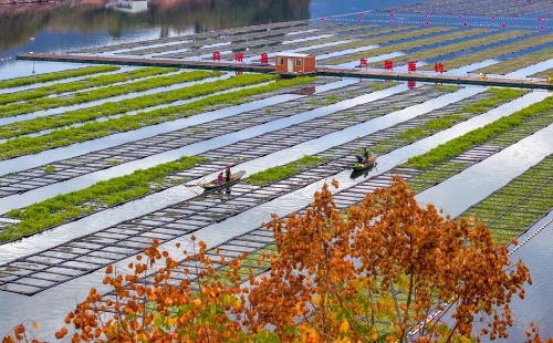 Zhejiang outlines four pillars of agricultural progress
