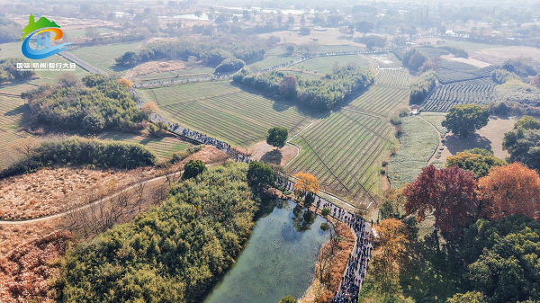 1765201364024007564.png 毅行2.png