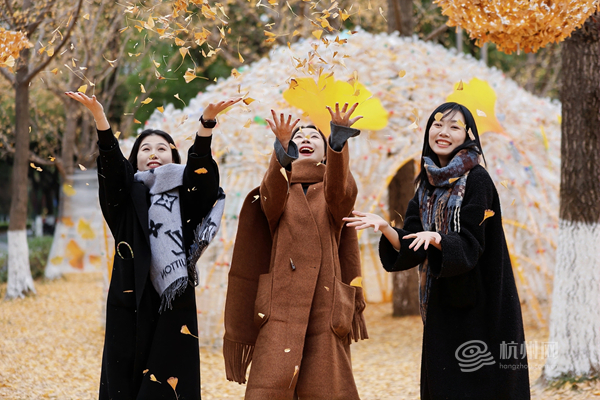 Fallen leaves turned into art installations in Gongshu
