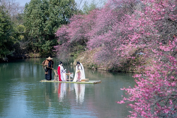 Cent mu-oj de umefloroj floras en Hangzhou
