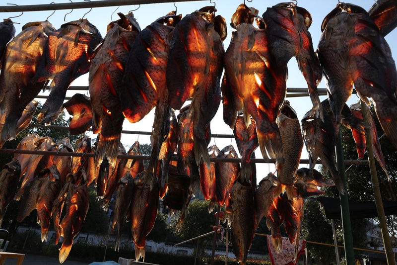 Winter fishing village in Hangzhou brimming with dried fish, festive cheer