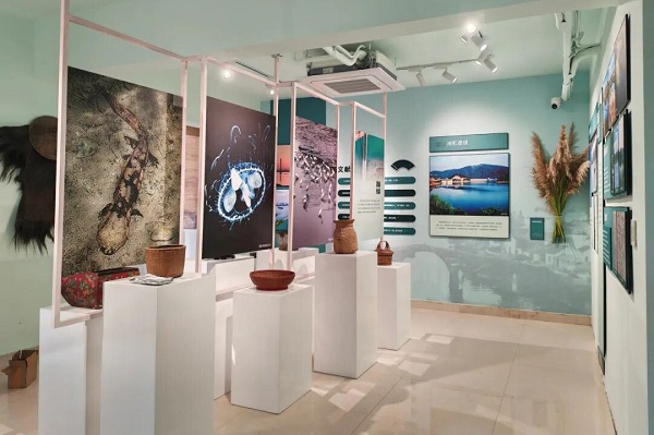 1767941216340037001.jpg 1-1-5-2.jpg