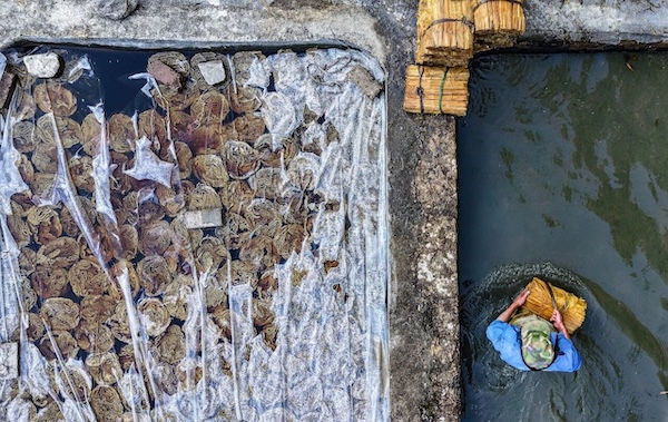 1768472556446071528.jpeg 纸3.jpeg