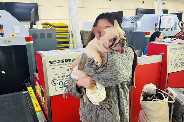 More travelers fly home with their pets via Hangzhou airport