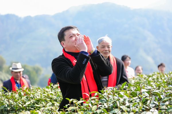 Voices echo across tea hills as Hangzhou village welcomes spring