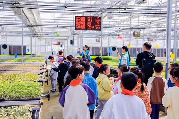 Rural innovation shows Zhejiang's path toward common prosperity