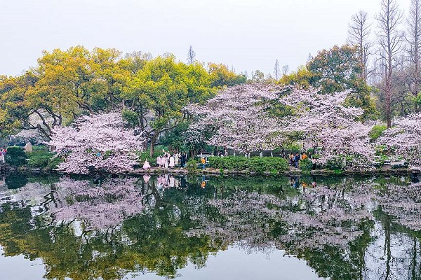 UN honors Hangzhou for advancing sustainable waste management