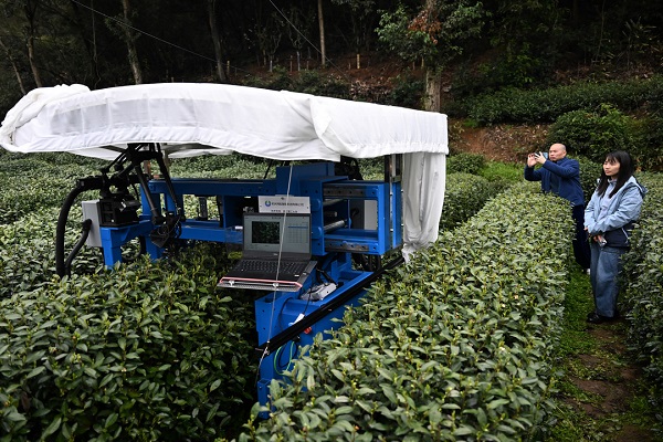 1774867598945059501.jpg 1-1-2-6.jpg