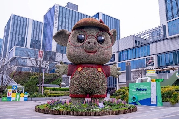 Hangzhou's 'succulent pig' goes viral internationally
