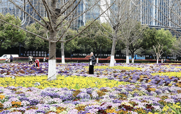 Hangzhou subway exit transforms into 'Monet's Garden' this spring
