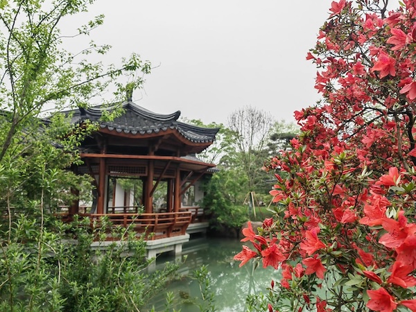 杭州园3.jpg