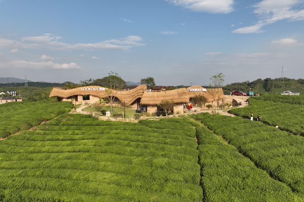 New rural tourism initiatives in Hangzhou inject vitality into spring economy