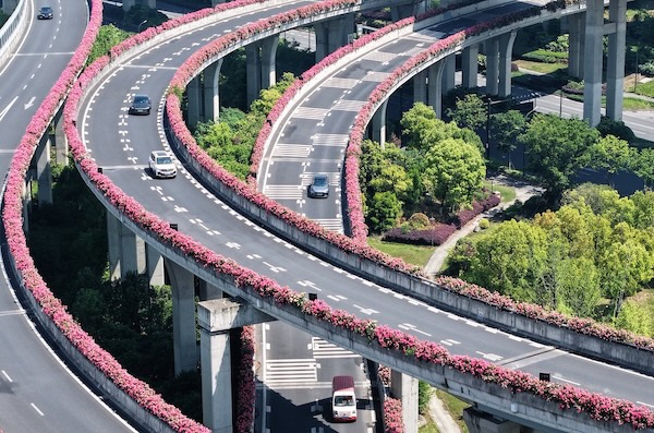 Spring decorates Hangzhou's elevated highways, overpasses