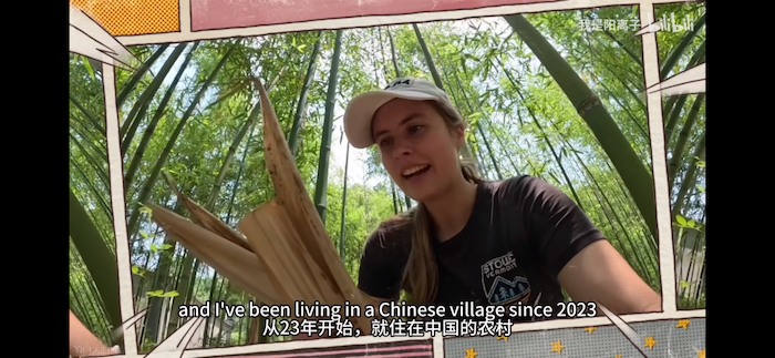 阳离子2.png