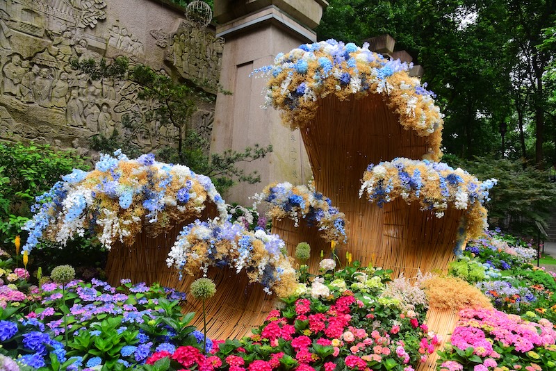 Hydrangea show brings a sea of blossoms to Hangzhou