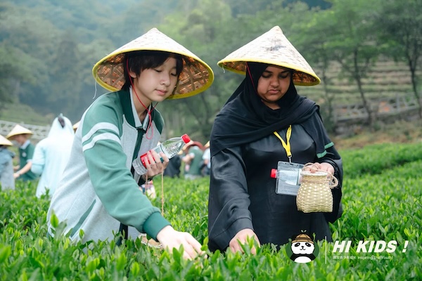 采茶1.jpg