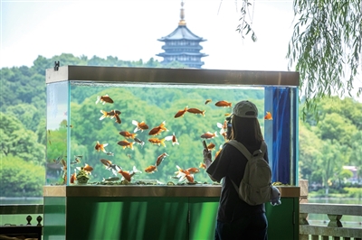 鱼缸2.jpg