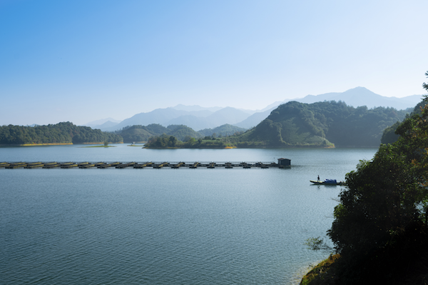 Hangzhou company eyes world's first caviar IPO