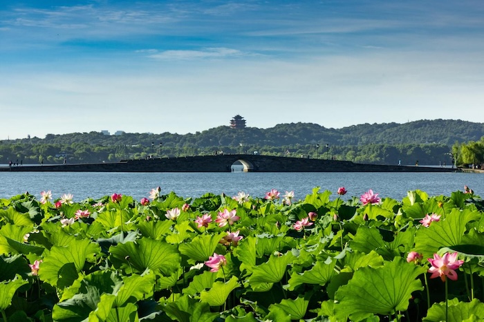 West Lake embraces AI to enhance heritage protection and visitor experience