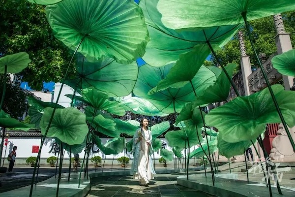 Lotus market brings Song-era elegance to Hangzhou Confucius Temple