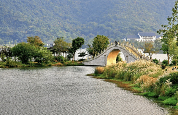1786958027226057822.jpg j'杭州2_副本.jpg