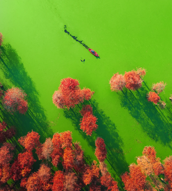 1789110524280026936.png HZ3_副本_副本.png