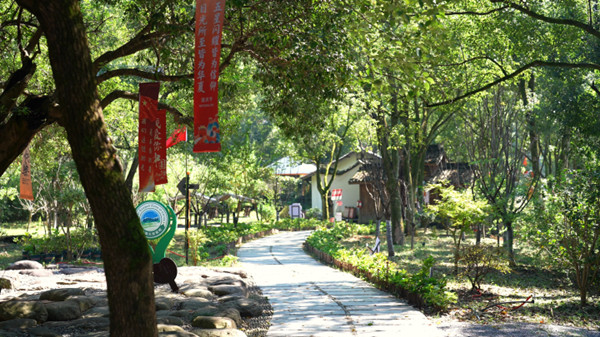 1791619288787031387.jpg 63_副本.jpg