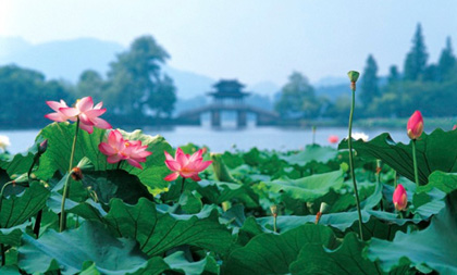 Picturesque Zhejiang