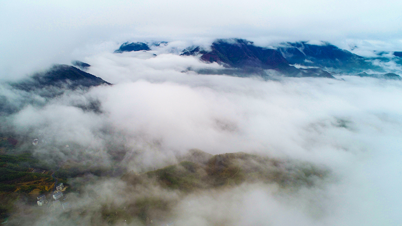 Misty Mount Tianmu resembles an ink wash painting