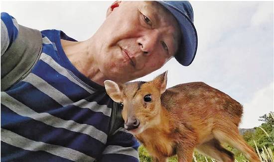 'Daddy of deer' feeds rescued baby muntjac