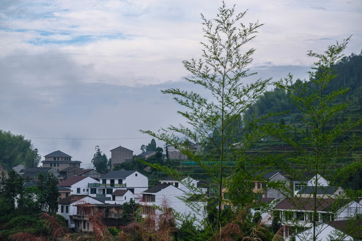 Zhejiang hopes to bridge urban-rural gap