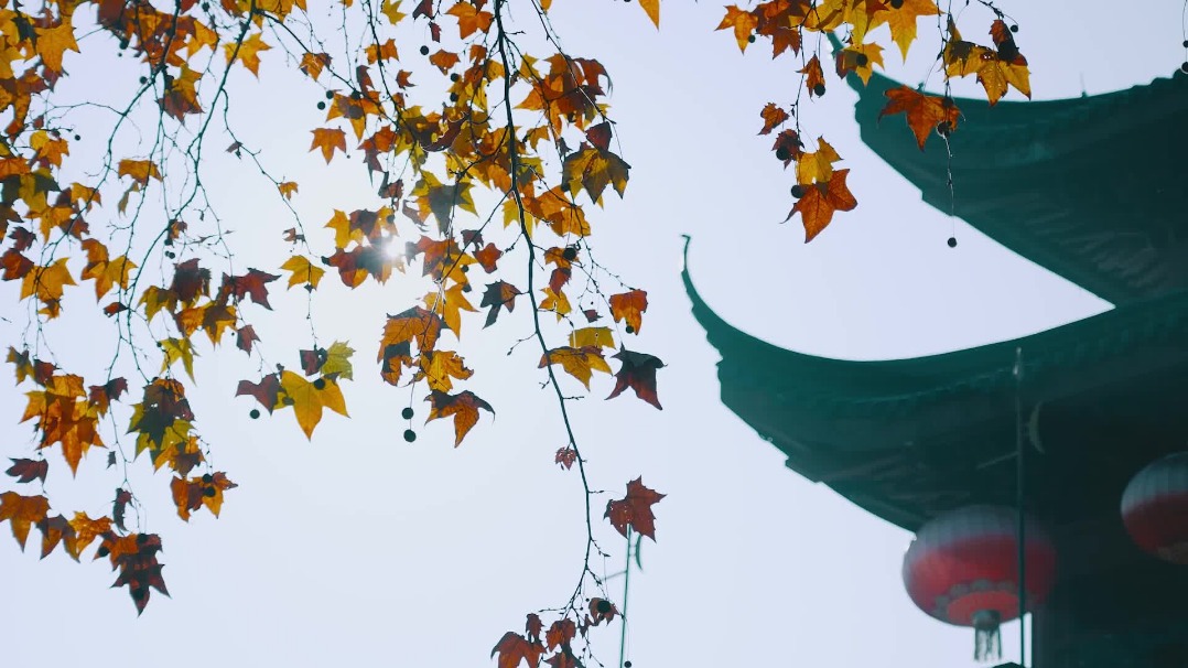 Winter Solstice: A glimpse into Hangzhou traditions