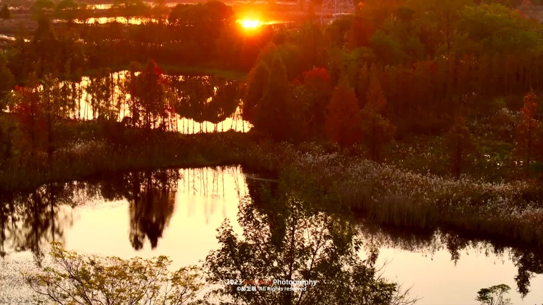 Enjoy winter sunset at Hangzhou wetlands