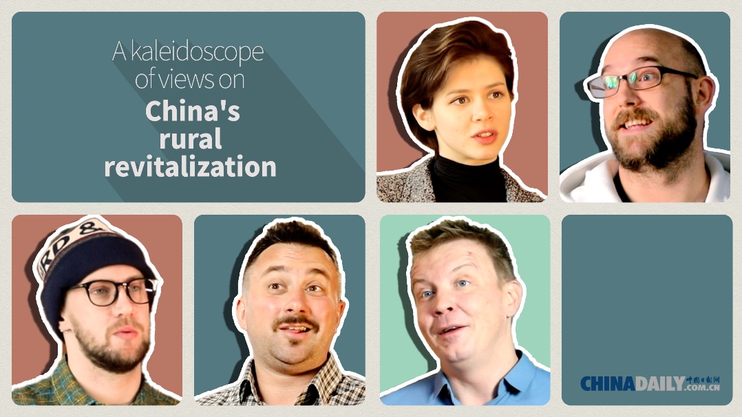 A kaleidoscope of views on China's rural vitalization