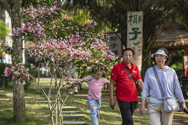 Spring Festival travel rush sees record trips with 'silver tourism' in focus