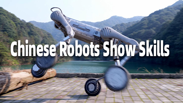 Chinese robots show skills