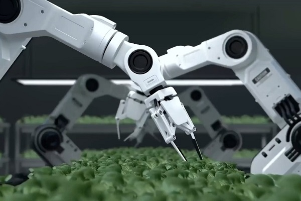 Stories of High-Quality Development: Prime time for China's private economy to shine