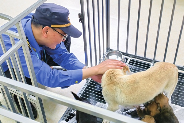'Pet' major launched as demand surges
