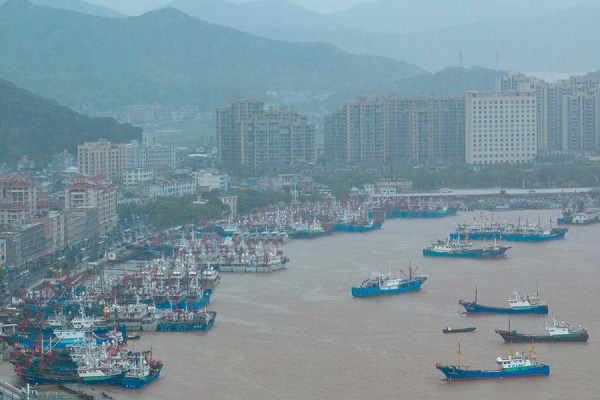 Typhoon Co-May makes landfall in East China coastal province