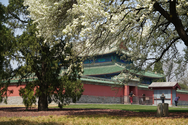 Culture, tourism consumption stays strong