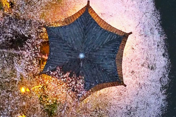 Roaming spring through China