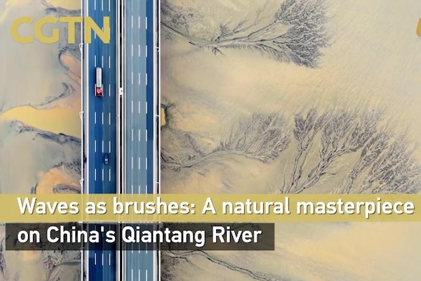 Waves as brushes: A natural masterpiece on China's Qiantang River