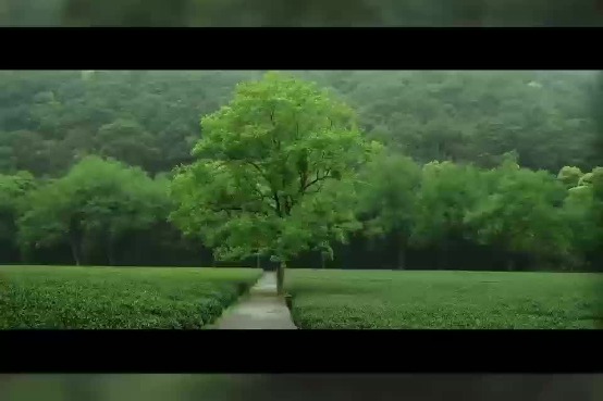 April in Hangzhou invites a different way of moving through the city