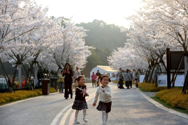 Green revival sparks rural transformation in E China's Zhejiang