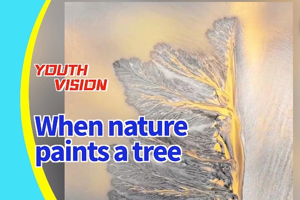 When nature paints a tree