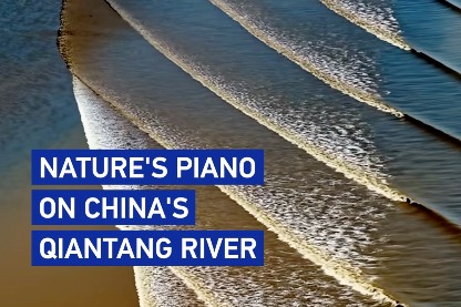Nature's piano on China's Qiantang River