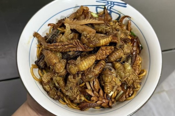 Would you try a bowl of noodles topped with cicadas?
