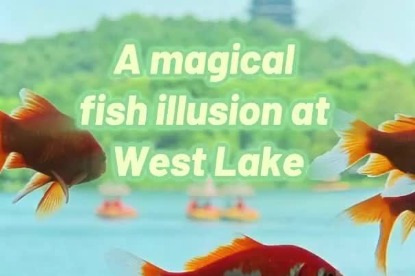 A magical fish illusion at West Lake