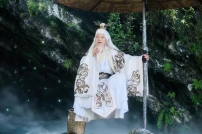 'Turtle Sage' NPC going viral for his multilingual greetings